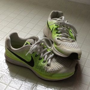 Nike Pegasus Shoes